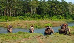 himalayan car rental - chitwan - sauraha jungle safari